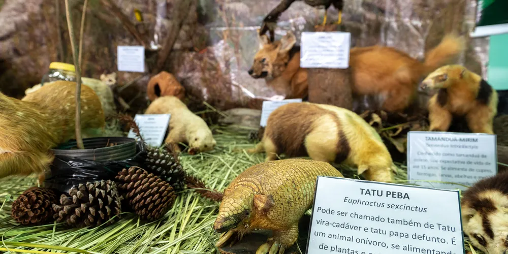 Exposição da Secretaria Municipal de Meio Ambiente