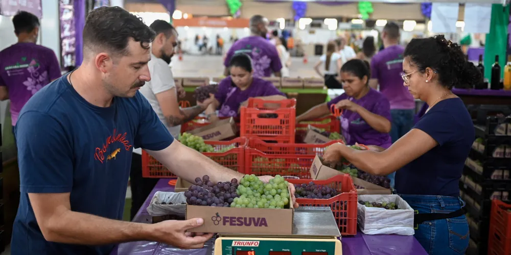 Caminhada da Uva integra a programação da 43ª Festa da Uva (Fesuva)