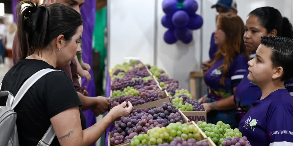Agora no Centro de Eventos, evento celebra produção da uva em Ponta Grossa e reúne cerca de 50 empreendedores