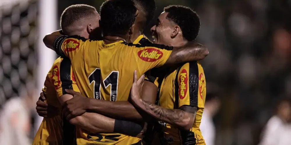Jogadores do Novorizontino comemoram gol contra o Palmeiras