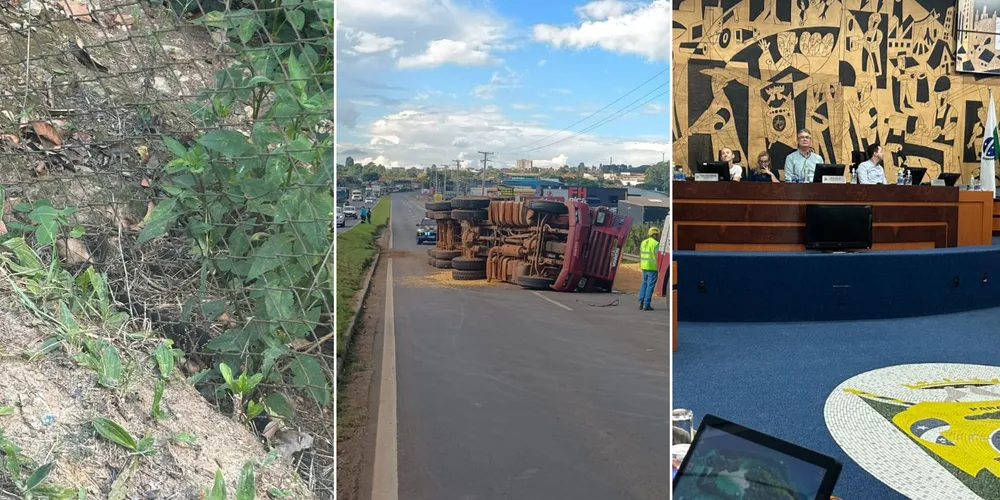 Imagem ilustrativa da imagem Confira as principais notícias da tarde desta segunda-feira (9)