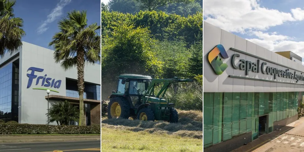 Imagem ilustrativa da imagem Confira as principais notícias do agronegócio da manhã desta terça em PG e região