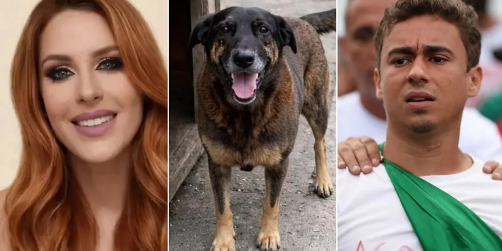 Imagem ilustrativa da imagem Confira as principais notícias da manhã desta segunda-feira (02)