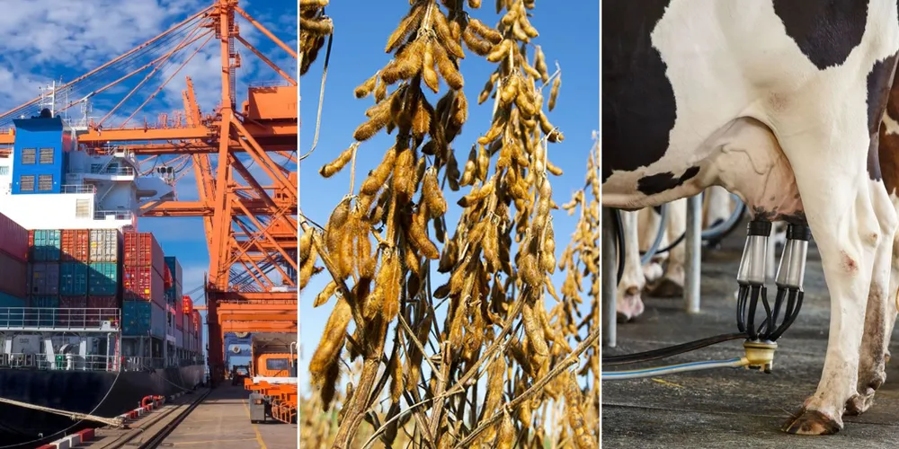 Imagem ilustrativa da imagem Confira as principais notícias do agronegócio da manhã desta segunda em PG e região