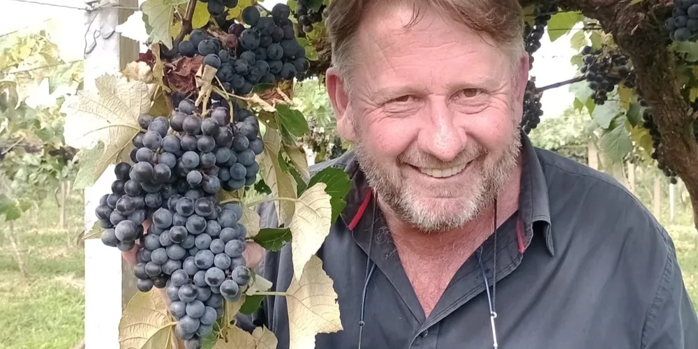 O secretário de Turismo, Fritz Kliewer, iniciou visitas às propriedades do município que cultivam uvas