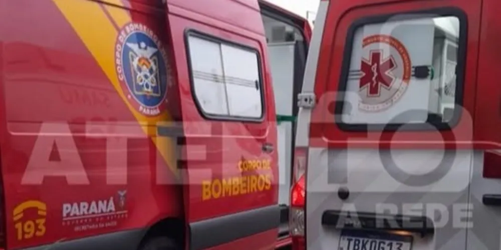 A vítima realizava atividades de trabalho quando foi surpreendida pelo animal