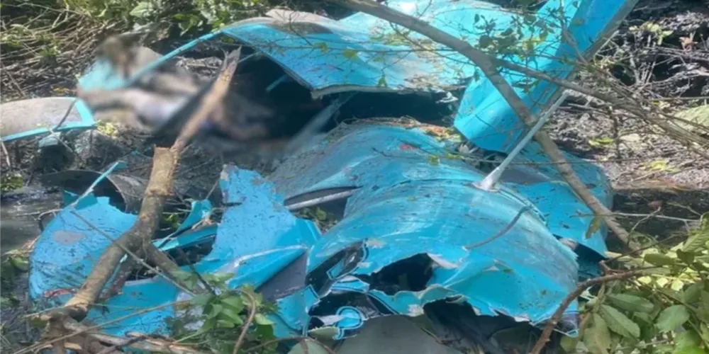 A aeronave transportava três pessoas, que morreram ainda no local