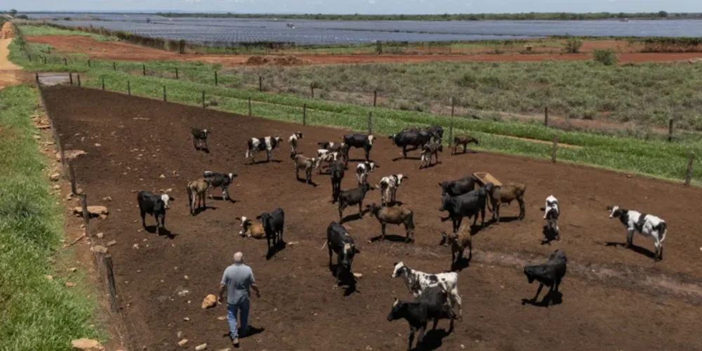 Verificaram-se elevações de 13,1% no setor agropecuário, 1,5% na indústria e 2,1% nos serviços