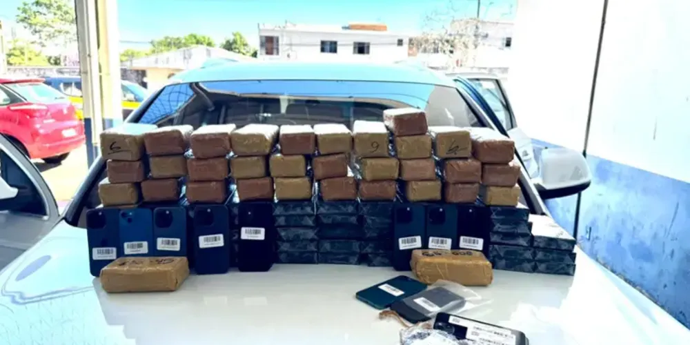 A carga apreendida foi avaliada em aproximadamente 187 mil dólares