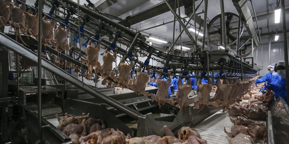 Medida visa dar agilidade ao processo de fiscalização sanitária em frigoríficos e agroindústrias