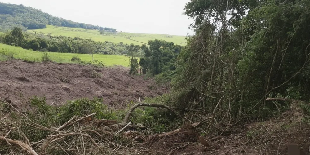 Área desmatada em Tibagi