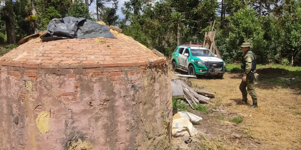 Forno de carvão construído em área de proteção ambiental