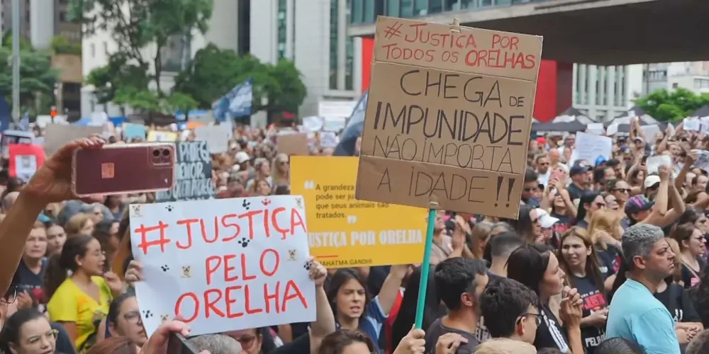 Ato reuniu centenas de pessoas em frente ao MASP; protestos também estão previstos no Rio, em BH e Brasília