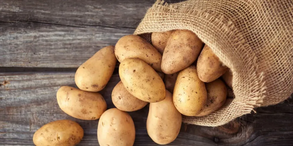 Chuvas nas regiões produtoras reduziram a oferta de batata