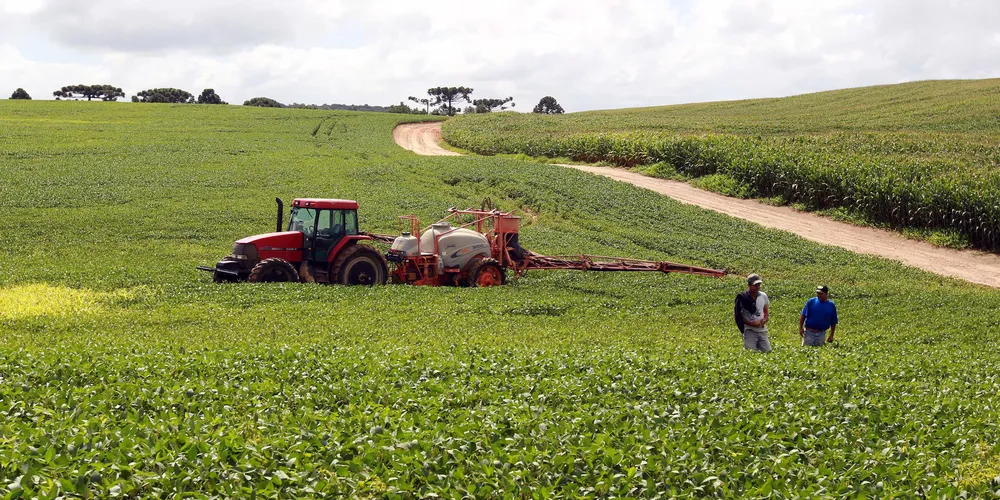 O farelo também segue tendência de alta, com previsão que supera tanto o desempenho de fevereiro de 2025 quanto o total registrado em janeiro deste ano