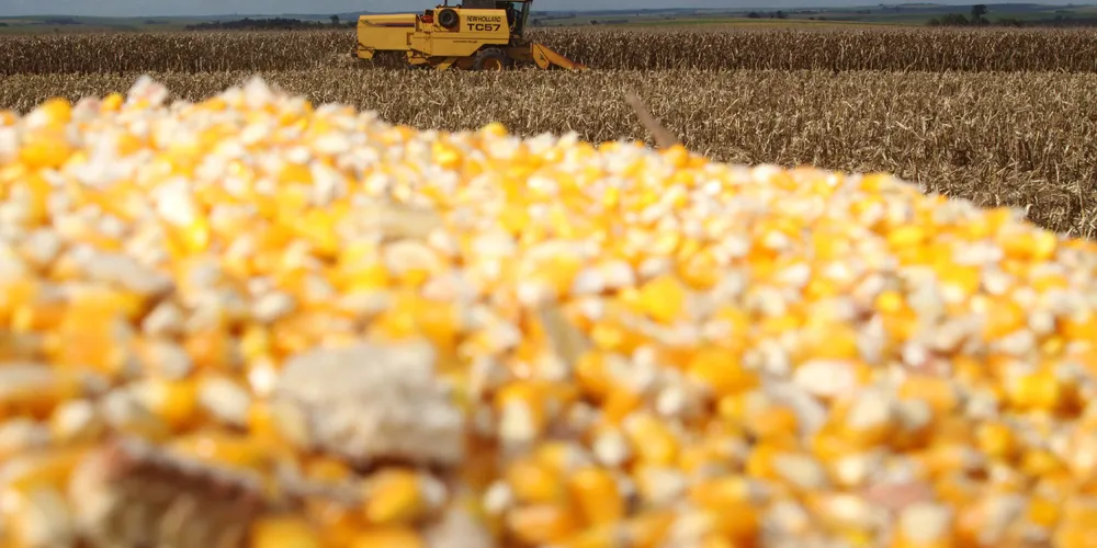 Condições climáticas adversas afetam principalmente o oeste e sudoeste paranaense