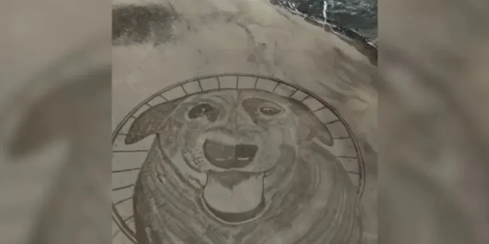 O trabalho foi feito pelo artista Clayton Balduino