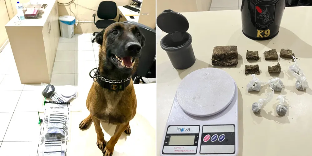 Drogas, balança e celular apreendidos