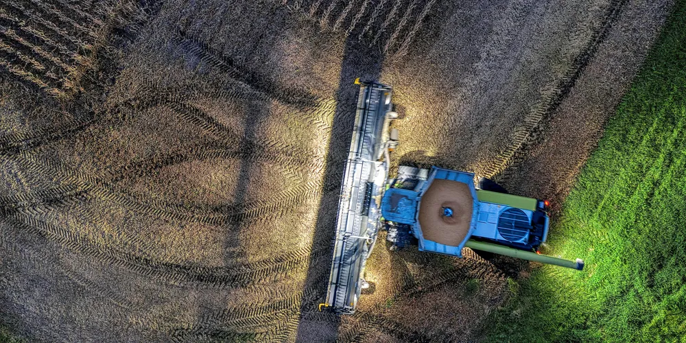 Colheita já atingiu 37% da área total