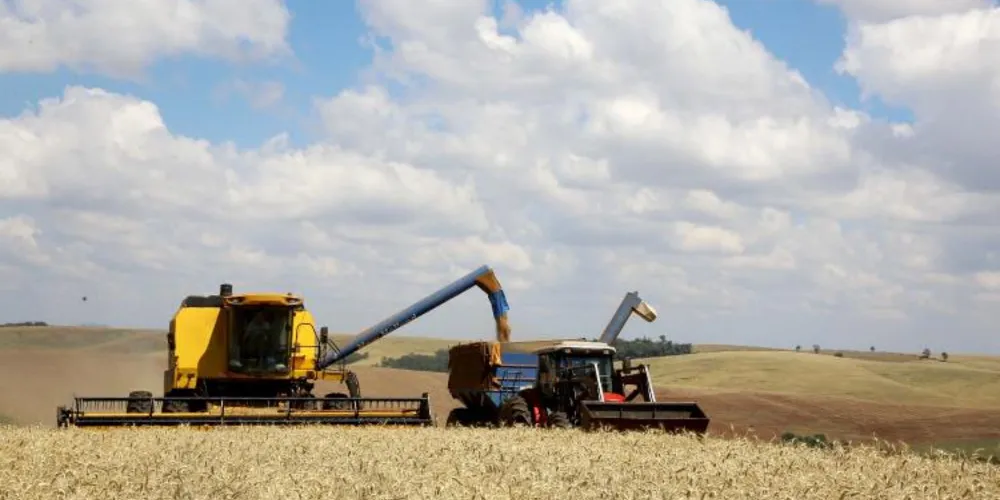 Resultado é impulsionado por um aumento de 1,9% da região plantada