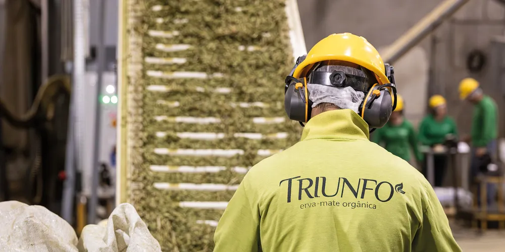 Foram vendidas 571 mil toneladas de folha verde para mercados rigorosos como Europa, Estados Unidos e Japão