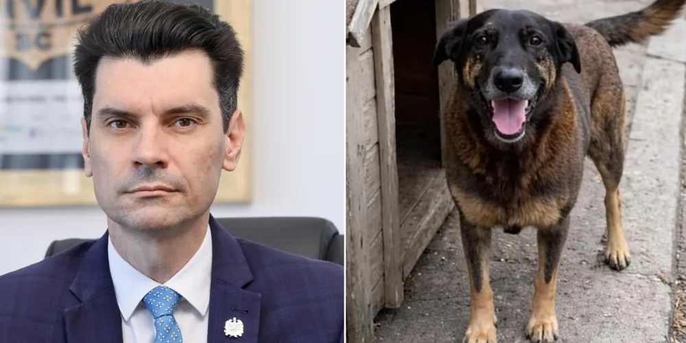 Delegado-geral da Polícia Civil de Santa Catarina, Ulisses Gabriel e o Cão Orelha