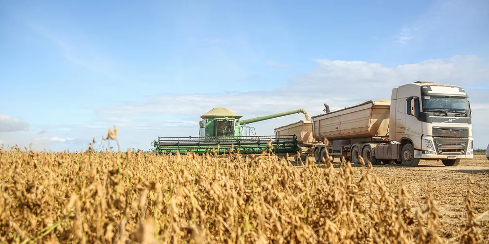 Ritmo  da colheita está mais lento do que no ano passado e abaixo da média histórica dos últimos cinco anos