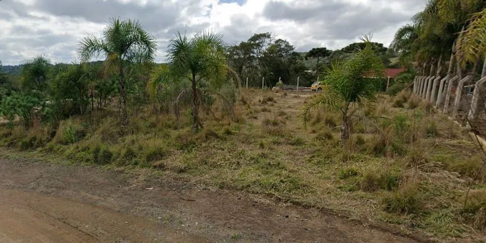 Área de mata devastada