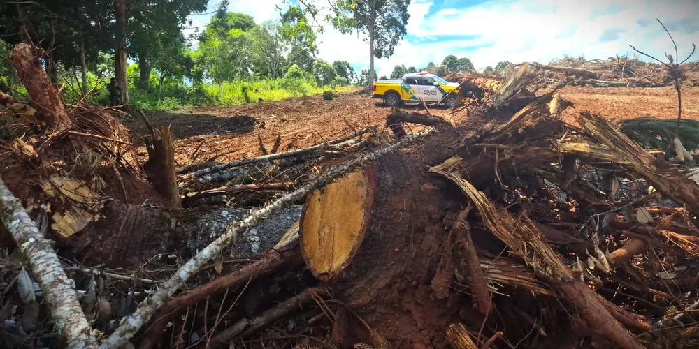 Ocorrências aconteceram na localidade 'Ribeira do Leão'