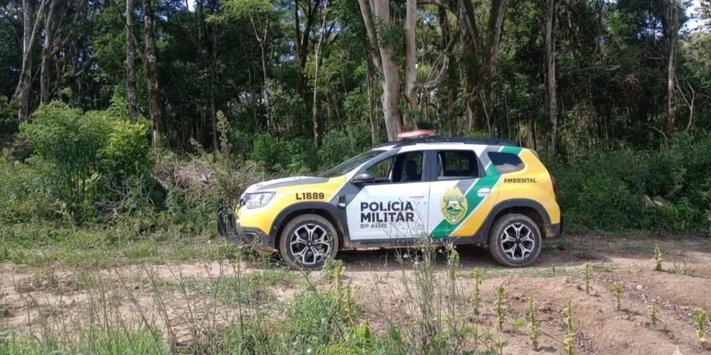 Ação ocorreu após uma denúncia anônima