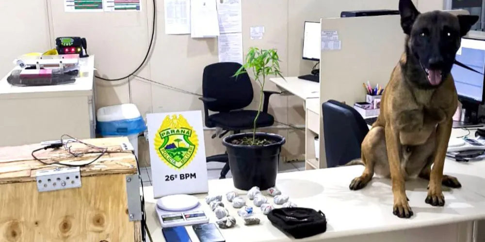 Materiais foram encaminhados à 18ª Subdivisão Policial