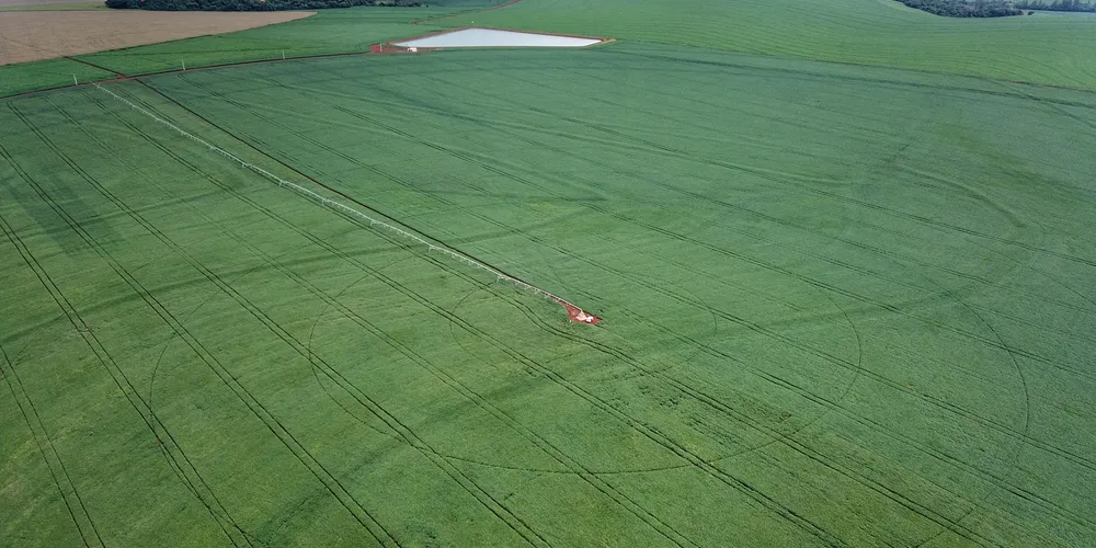 Custos mais altos e preços 10% menores derrubaram a margem da soja 25/26