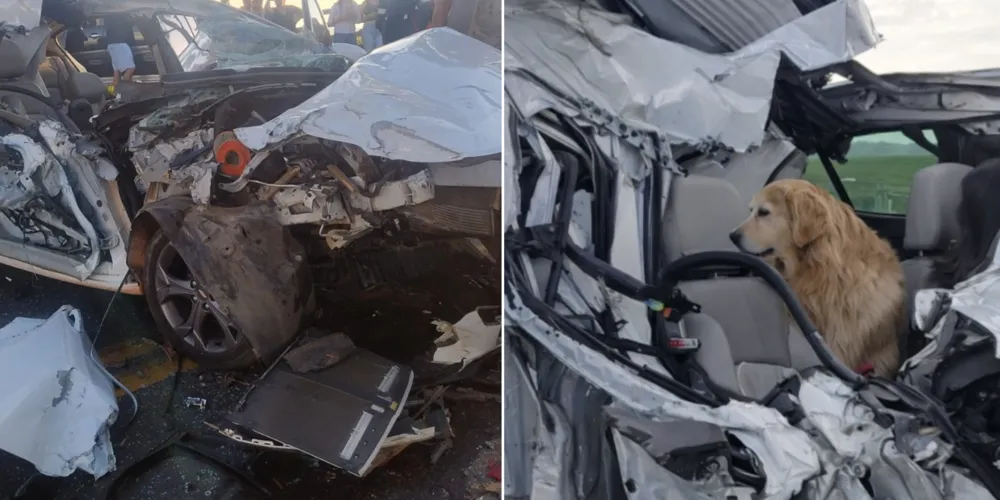 Ao chegar ao local, os policiais constataram uma colisão traseira envolvendo um automóvel e um caminhão