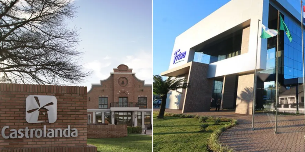 A iniciativa também reúne cooperados das duas cooperativas, especialistas na produção de sementes