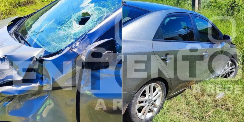 Com o impacto, o veículo acabou saindo da pista