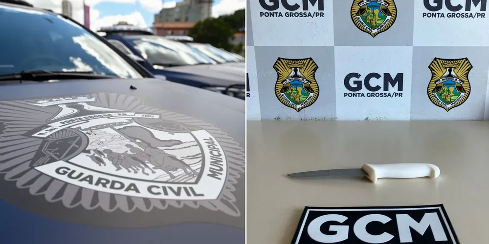 Ocorrência foi registrada como ameaça qualificada e lesão corporal leve tentada