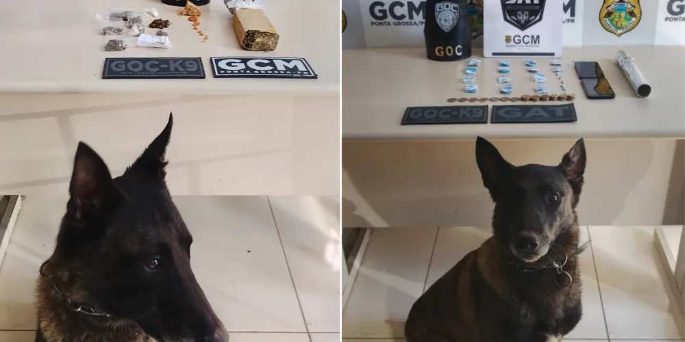 Bolt participou de duas apreensões nesse sábado