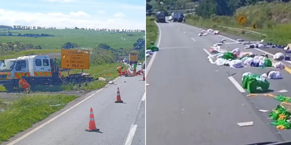 Motoristas que trafegam pela rodovia devem redobrar a atenção ao passar pelo local