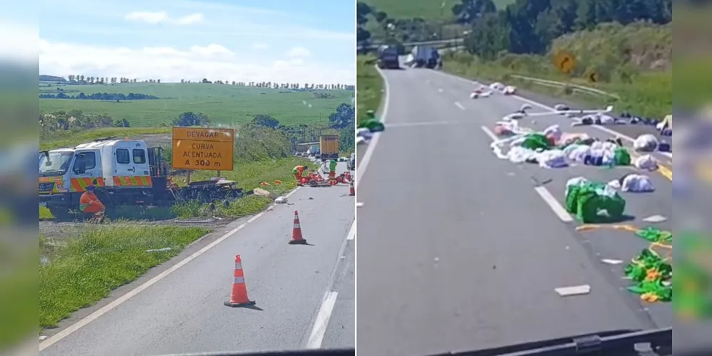 Motoristas que trafegam pela rodovia devem redobrar a atenção ao passar pelo local