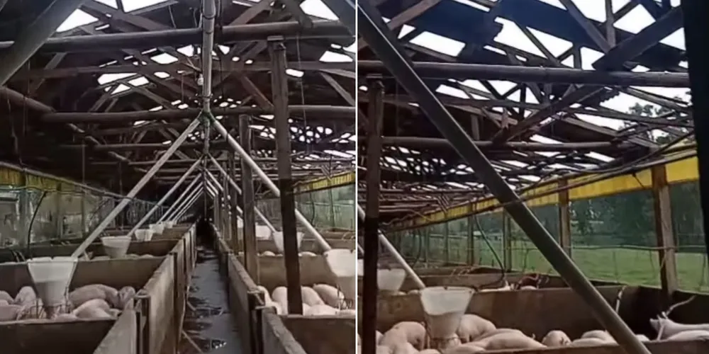 O barracão ficou totalmente destelhado