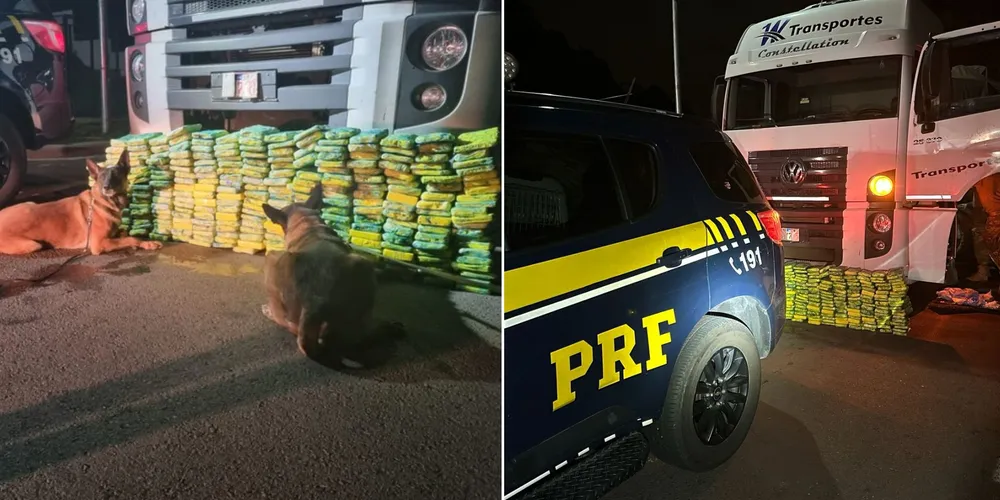 Apreensão ocorreu em Lapa e em Campo Largo