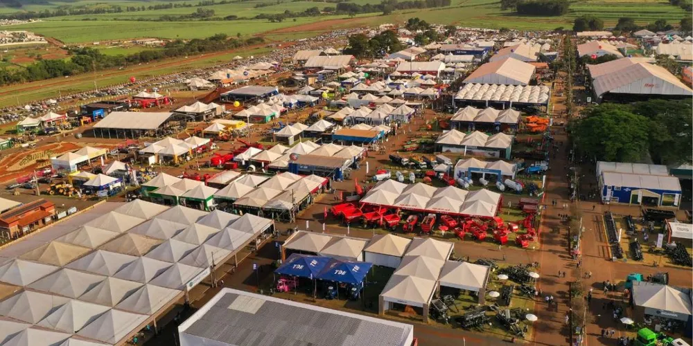 O calendário também inclui atividades online