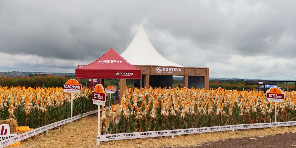 A edição bateu recorde de público e volume de negócios fechados