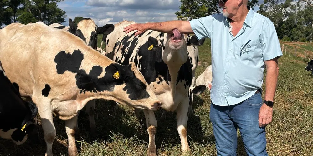 Bauke Dijkstra é um dos maiores produtores de leite da região e do Brasil