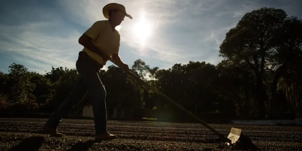 O destaque ficou para as indústrias de fertilizantes, defensivos, medicamentos veterinários e máquinas agrícolas