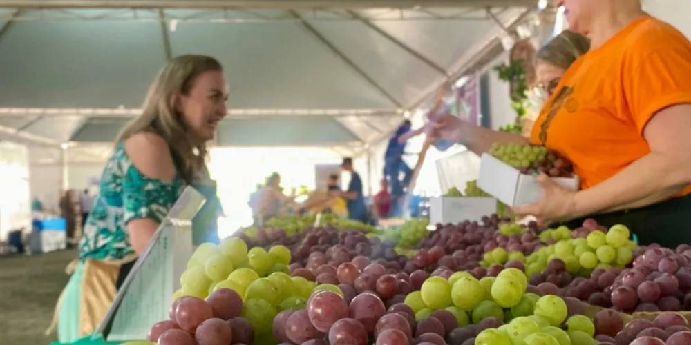 A Fesuva segue com programação no próximo fim de semana, que marca a reta final do evento