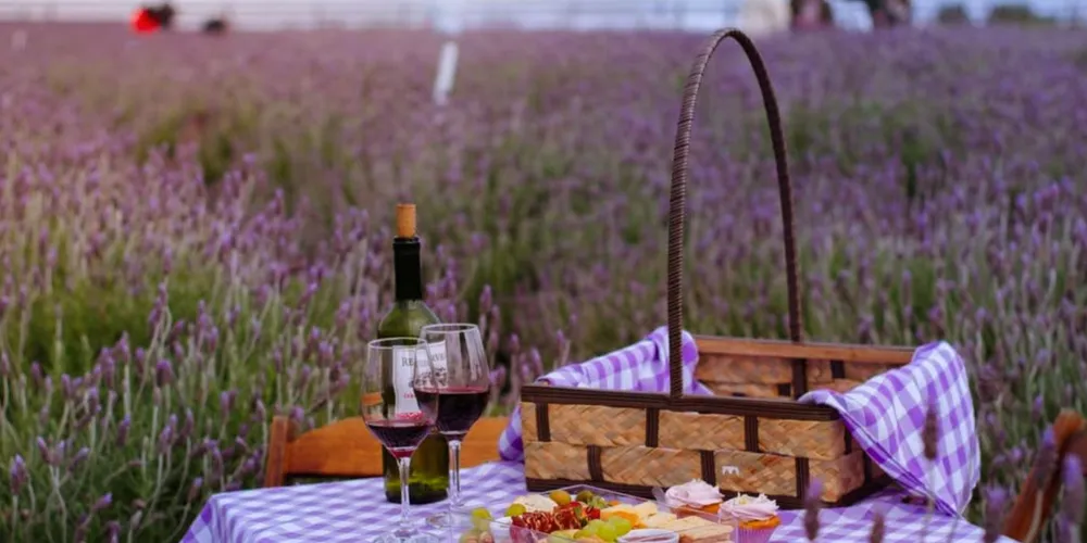 Além dos jardins temáticos e da gastronomia, o local também aposta no turismo de experiência, com ensaios fotográficos, piqueniques e, futuramente, oficinas culturais