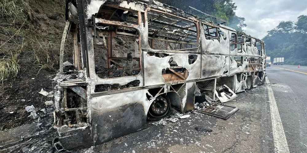Ocorrência foi registrada por volta das 7h50, no km 342 da rodovia