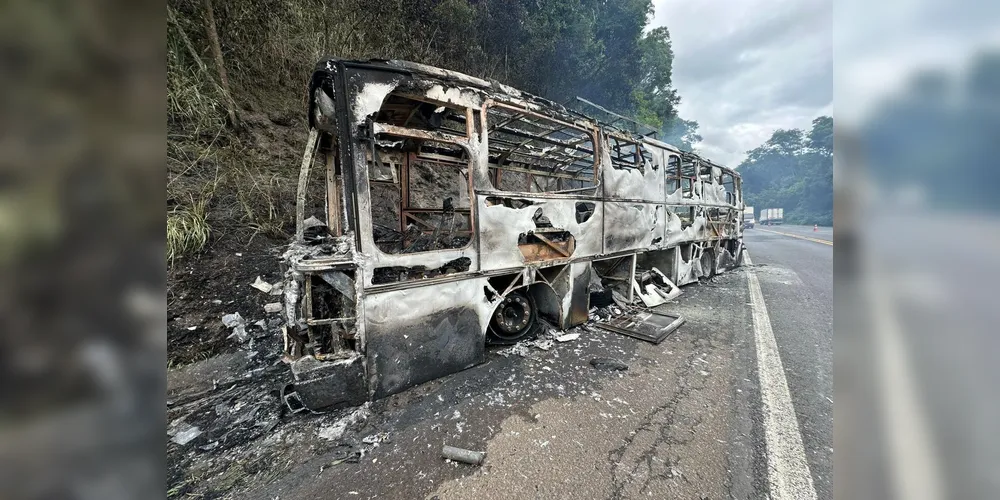 Ocorrência foi registrada por volta das 7h50, no km 342 da rodovia