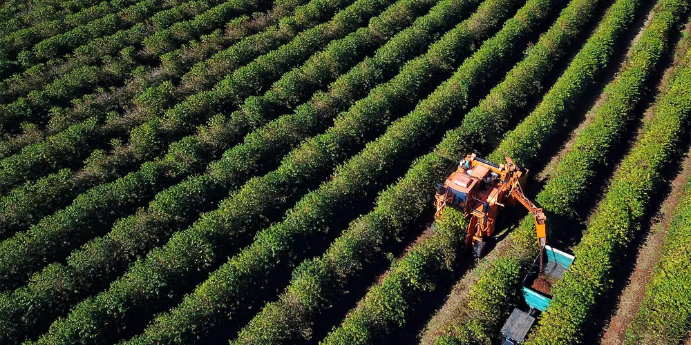 Ciclo de redução de juros deve iniciar em março
